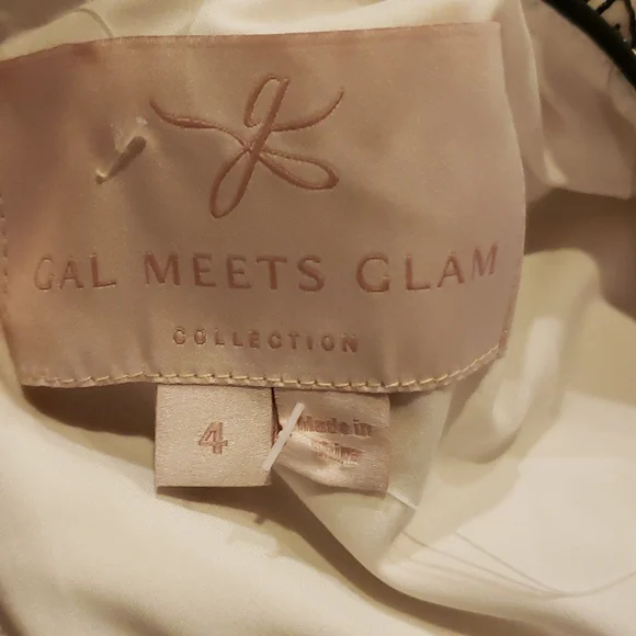 NWT Gal Meets Glam Viola Raffia Embroidered Dress Size 4 - Picture 8 of 10